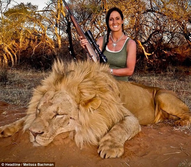 Melissa Bachman gây ra sự phẫn nộ từ người dân Nam Phi và những người yêu mến động vật hoang dã trên thế giới khi đăng bức ảnh của mình mỉm cười bên xác một chú sư tử đực lên Facebook.